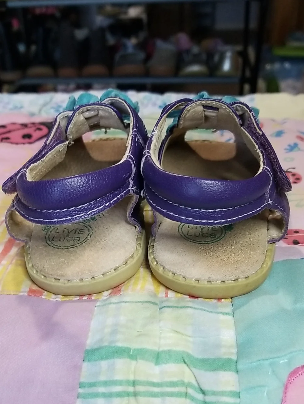 Livie & Luca bright purple